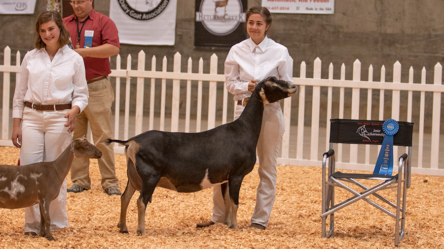 2019 Youth Show Results