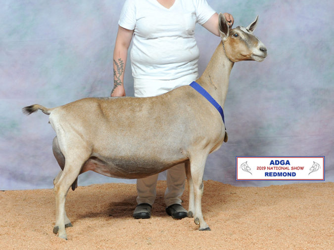 2019 Recorded Grade National Show Results