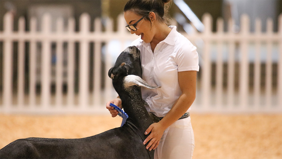 Youth Show Results