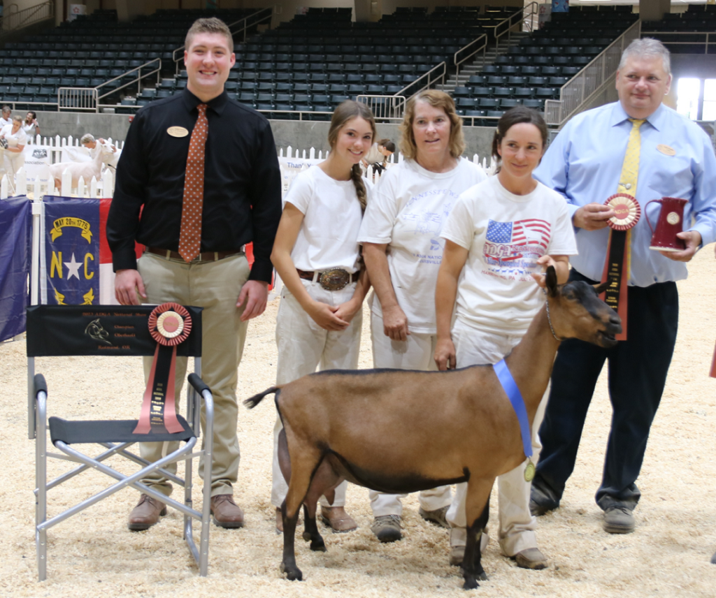 Oberhasli American Dairy Goat Association National Show