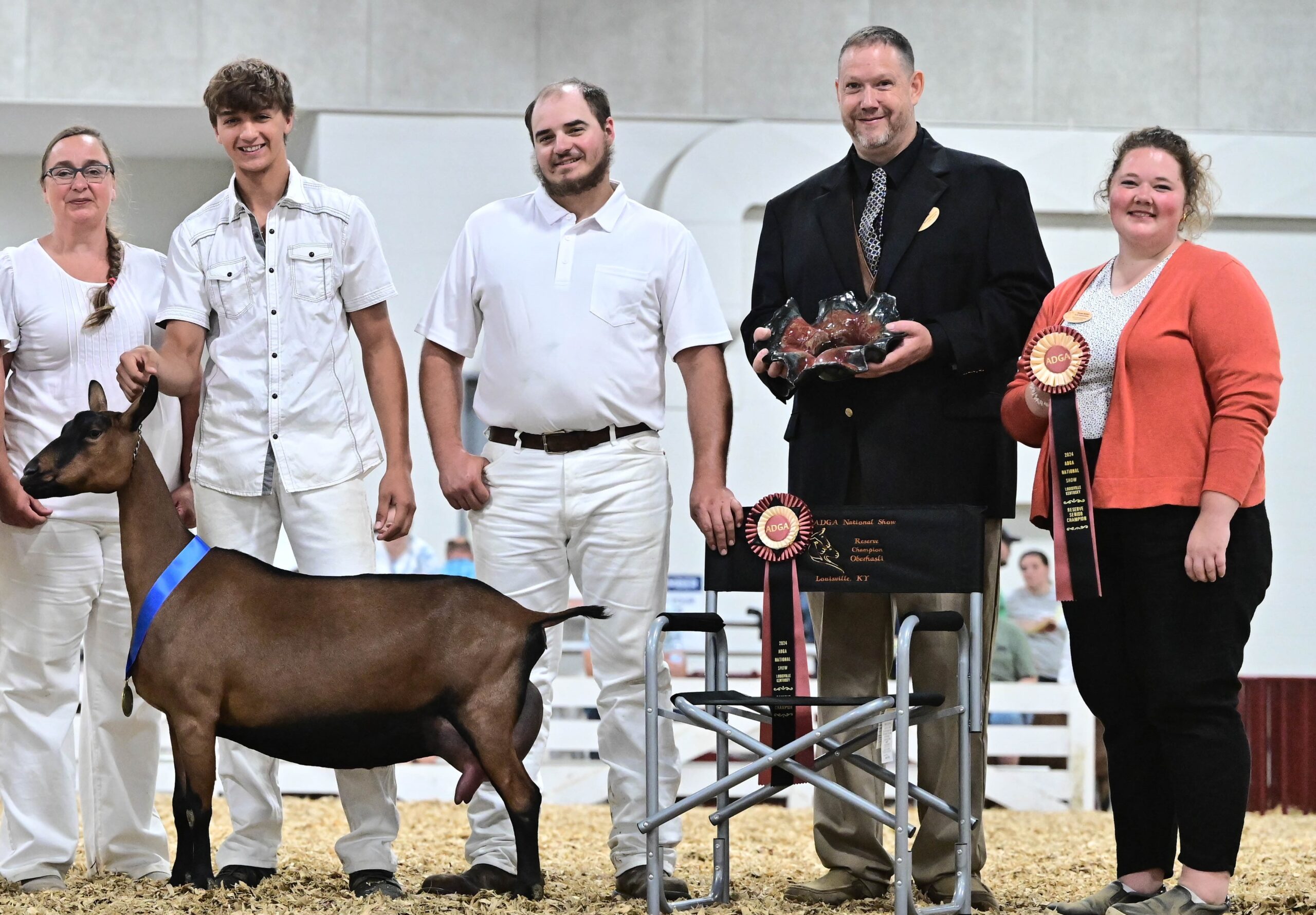 Oberhasli Results American Dairy Goat Association National Show