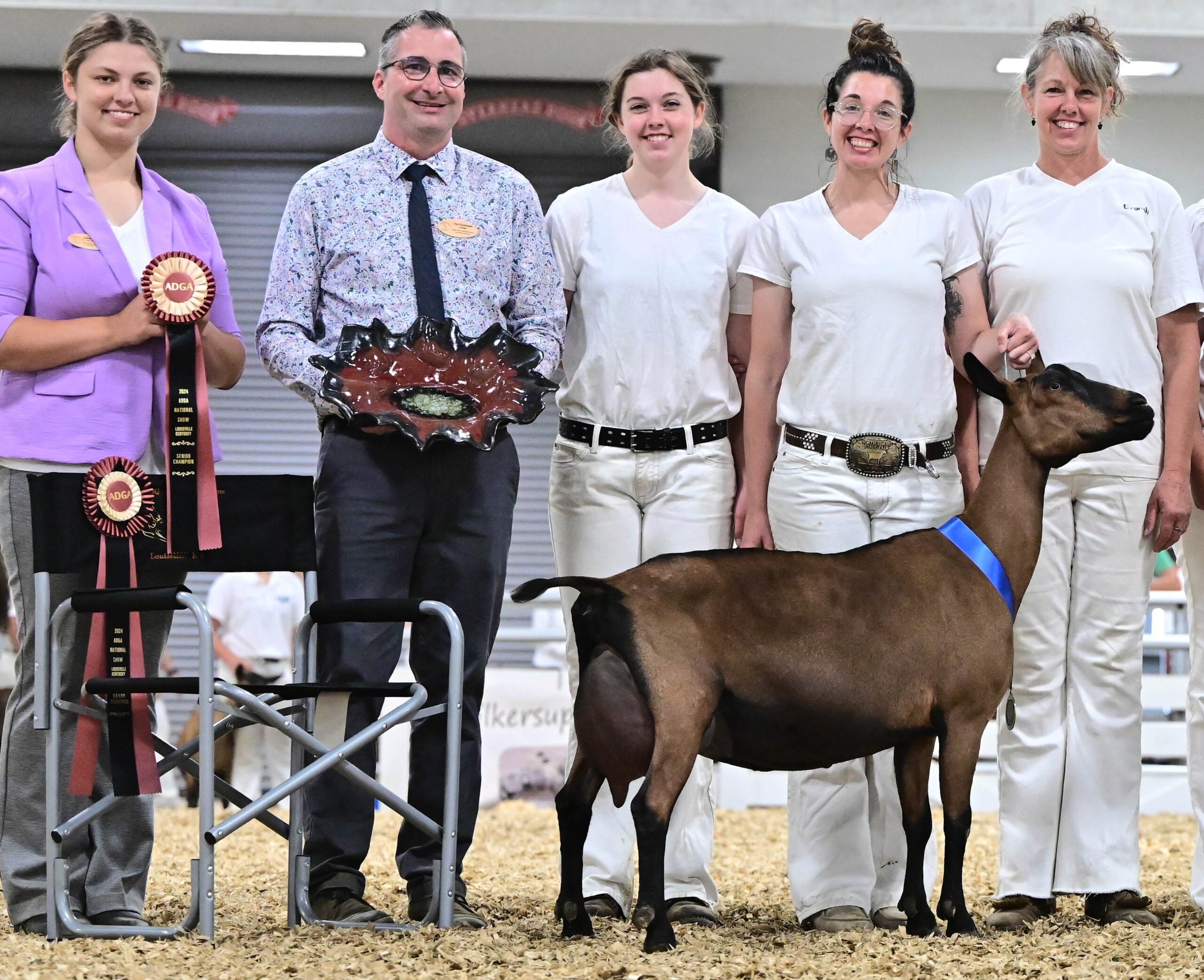 Oberhasli Results American Dairy Goat Association National Show