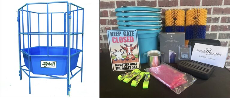 Louisiana Raffle Basket