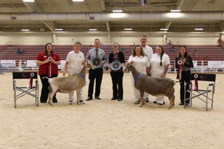 Senior Champion