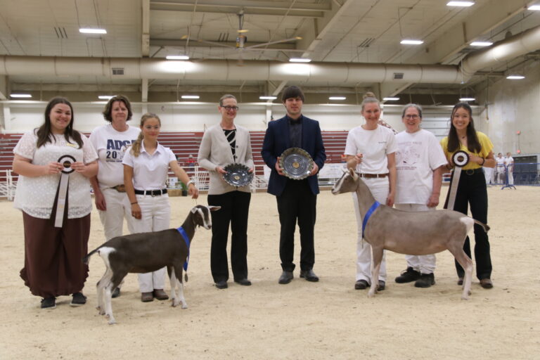 Junior Champion