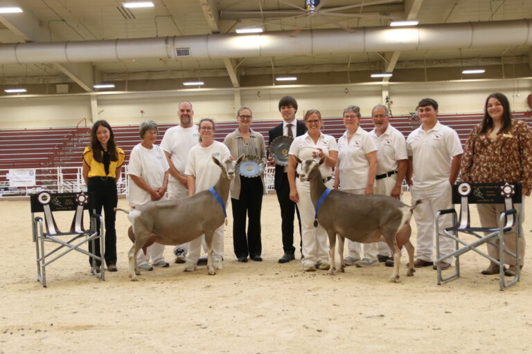 Senior Champion