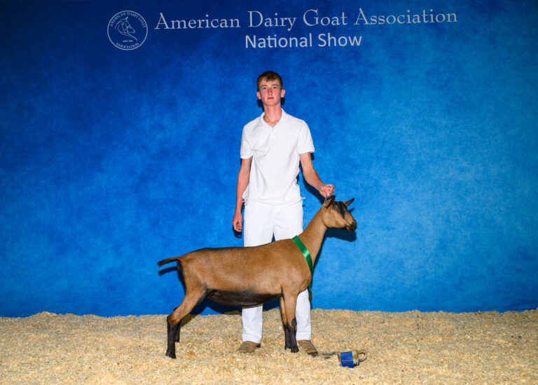 Premier Youth Junior Doe: The Wood’s Spring Tabby