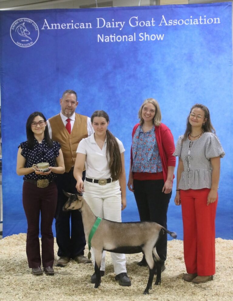 Premier Junior Doe: Ledgewood Farm RG Galinda