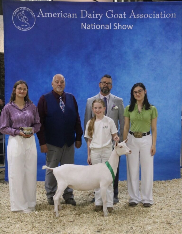 Premier Youth Junior Doe: AC3 Farms CZR Gimme that Girl