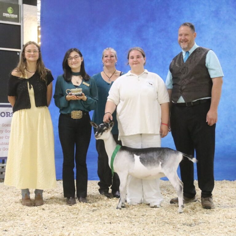 Premier Youth Junior Doe: Klisse’s KRAF Gangsta