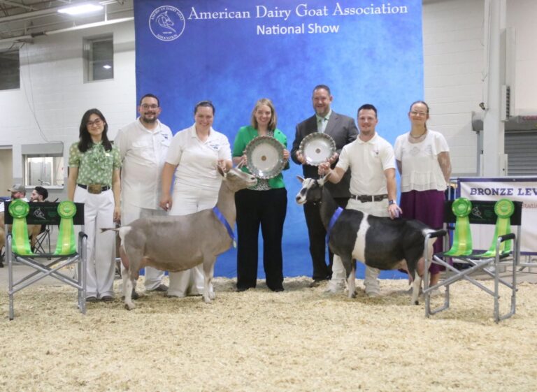 Senior Champion: GCH Taylor Ridge Maple 1*M