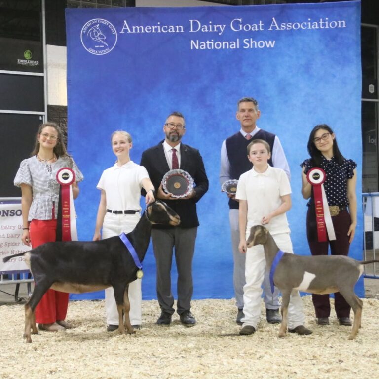 2026 LaMancha Junior Reserve Champion