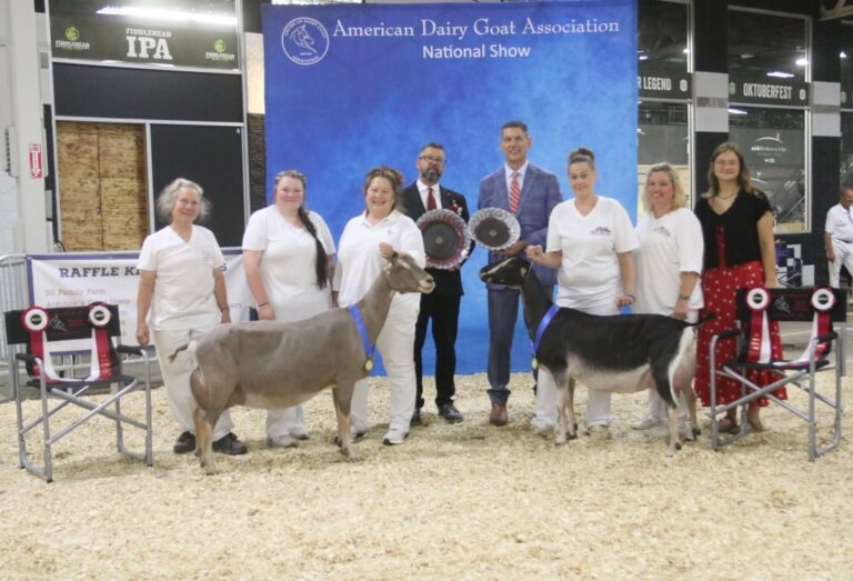 2026 LaMancha Senior Champion