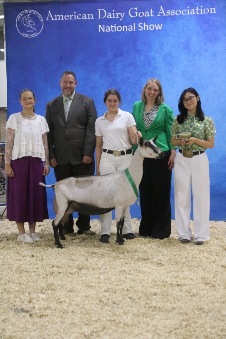 Premier Youth Senior Doe: Ledgewood Farm Dilly