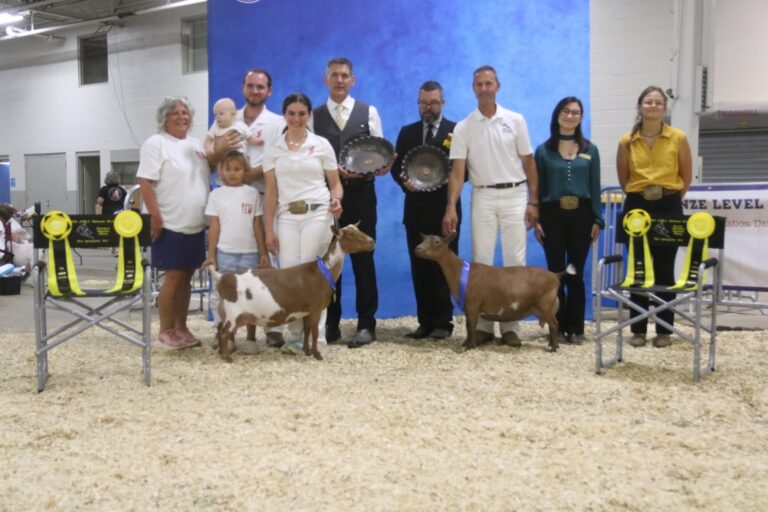 2026 Nigerian Dwarf Senior Champion
