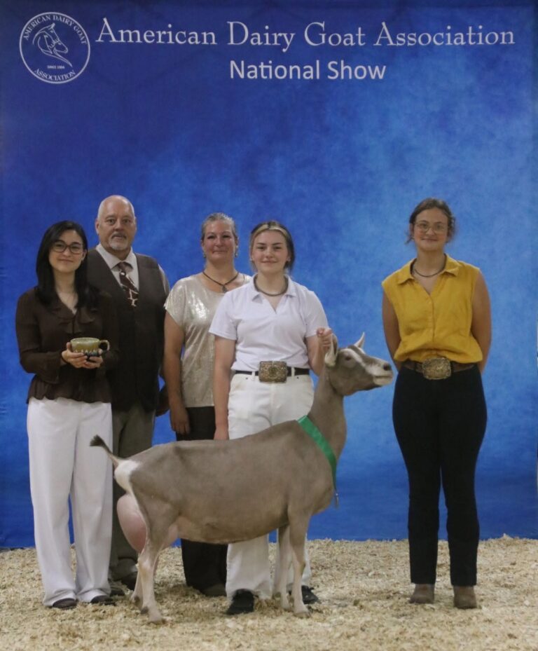 Premier Senior Doe: GCH Nestor Acres MT Loofah
