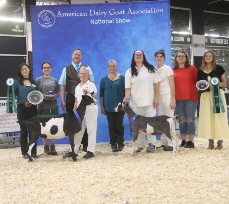 Junior Reserve Champion: Heaven Sent TH Ravyn