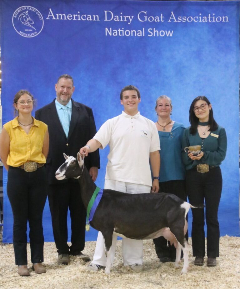 Premier Youth Senior Doe: Klisse’s NSNN Limor