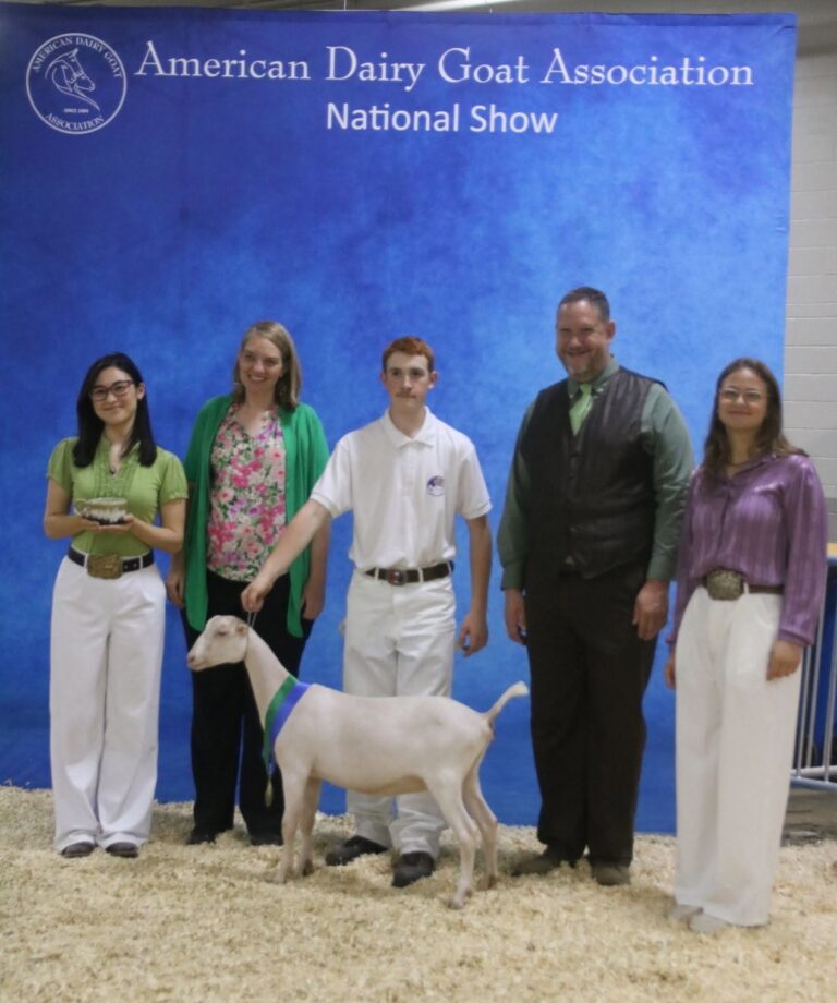 Premier Youth Junior Doe: W2 Vanilla Bean
